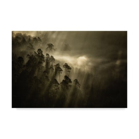 Trademark Fine Art Peter Wagner 'Streiflichter' Canvas Art, 16x24 1X07915-C1624GG